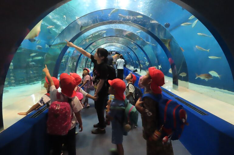 おさかないっぱーいい