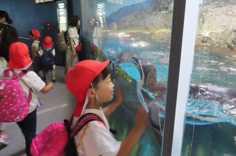 こんにちは、ペンギン