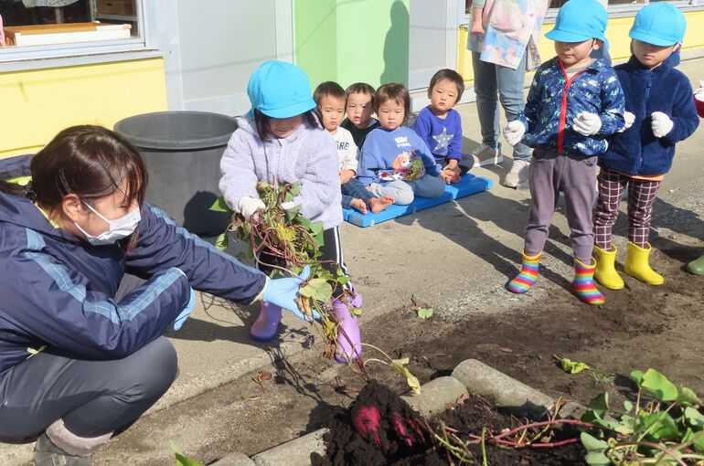 ゆうり　さつまいも
