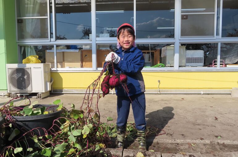 まさくに　おいもがいっぱい