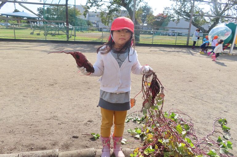 りんか　おおきいおいも