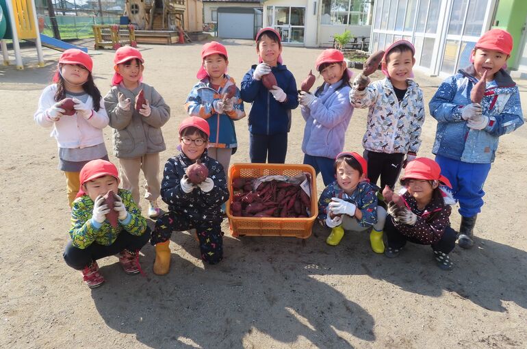 ぞう　さつまいも