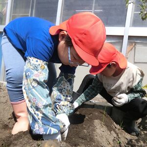 なおと　表紙