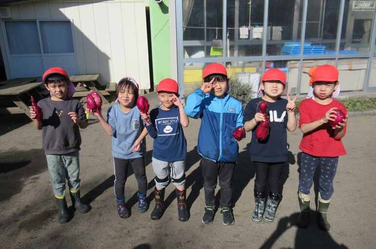 さつまいも堀り５