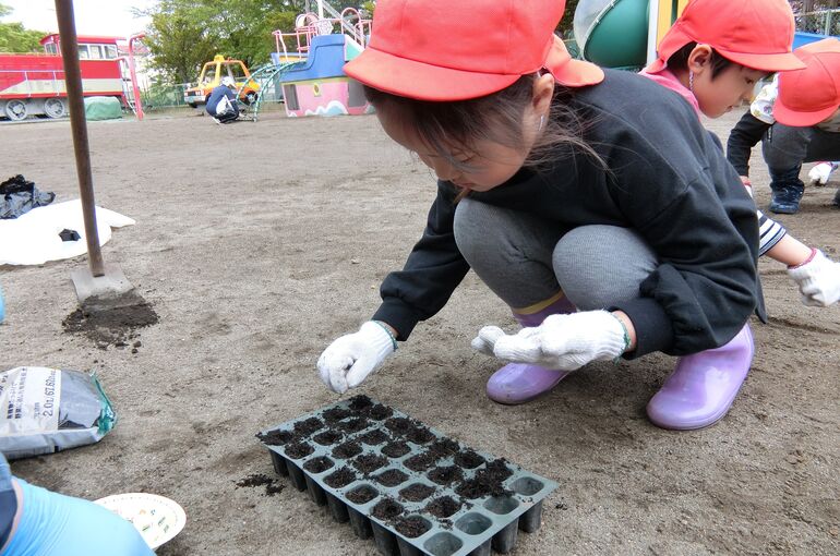 ピーマン